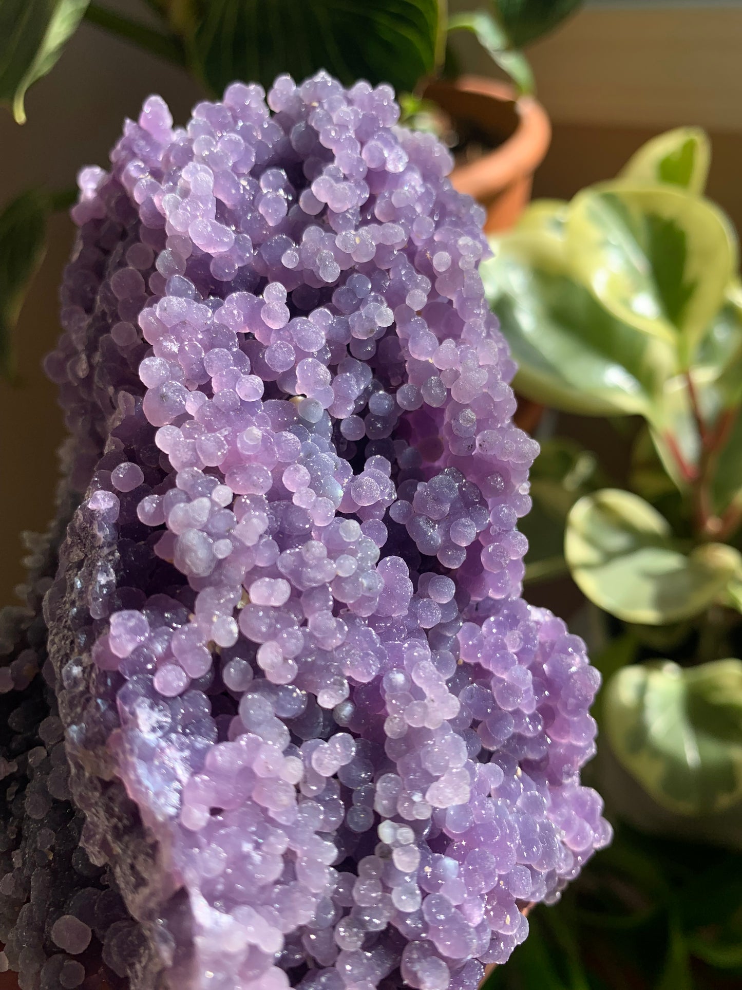 Grape Agate Cluster