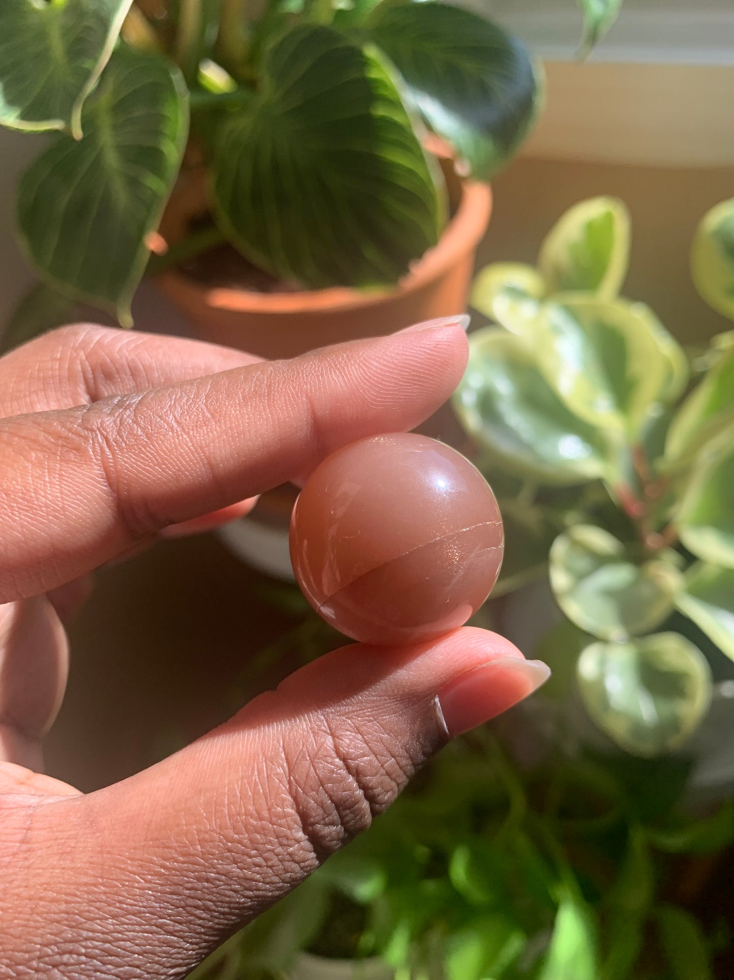 Mini Peach Moonstone Spheres