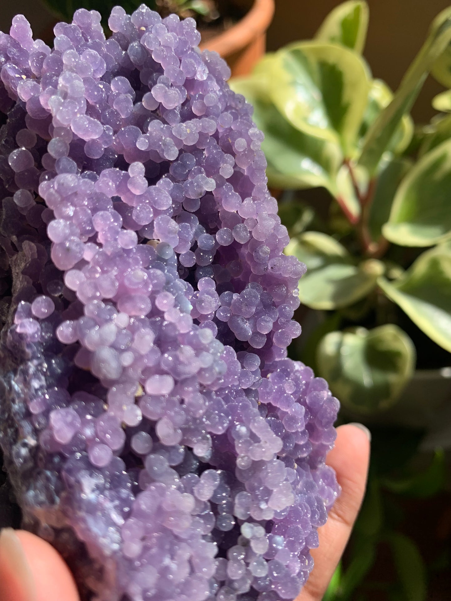 Grape Agate Cluster