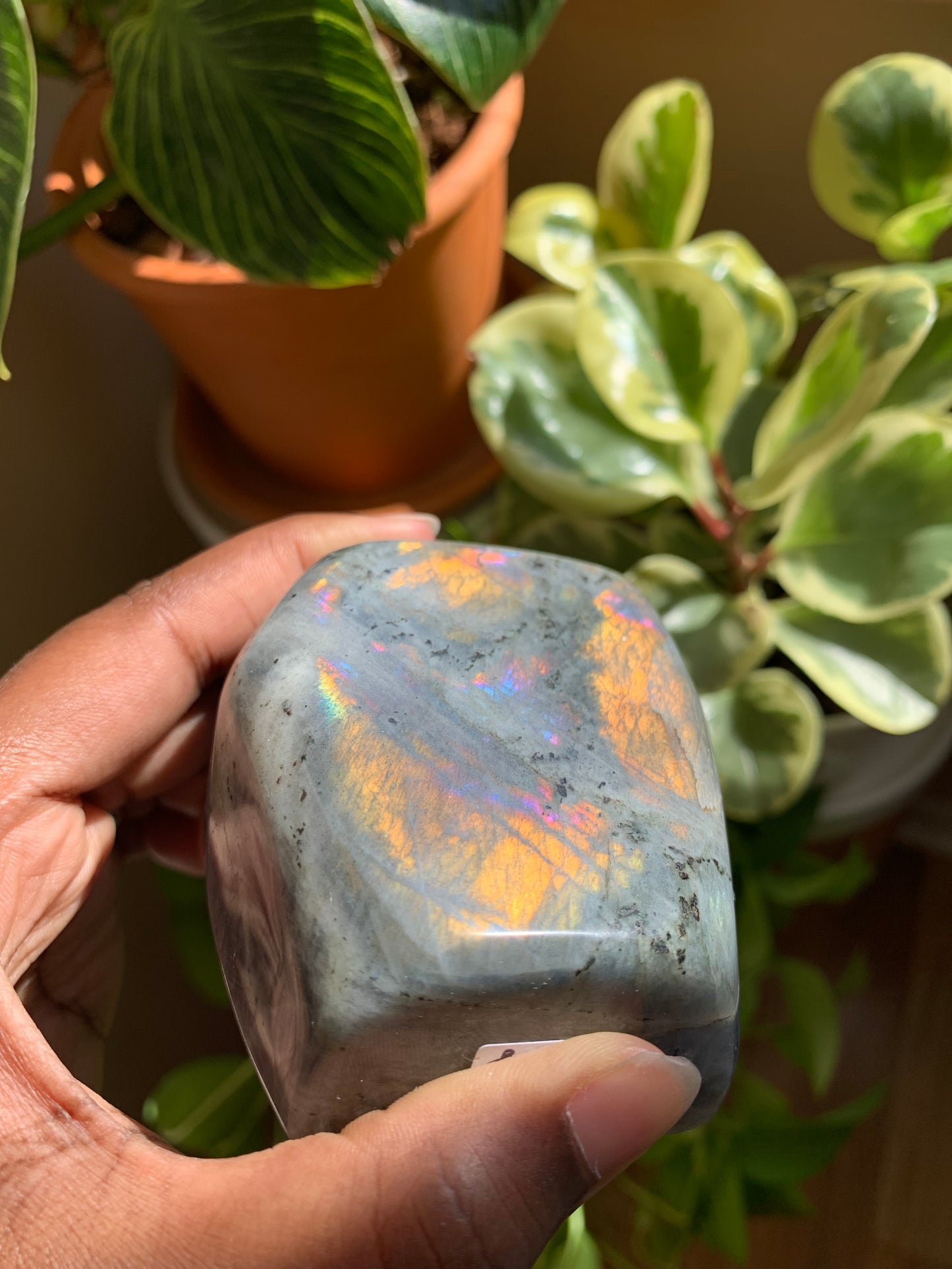 Orange Labradorite Free Form