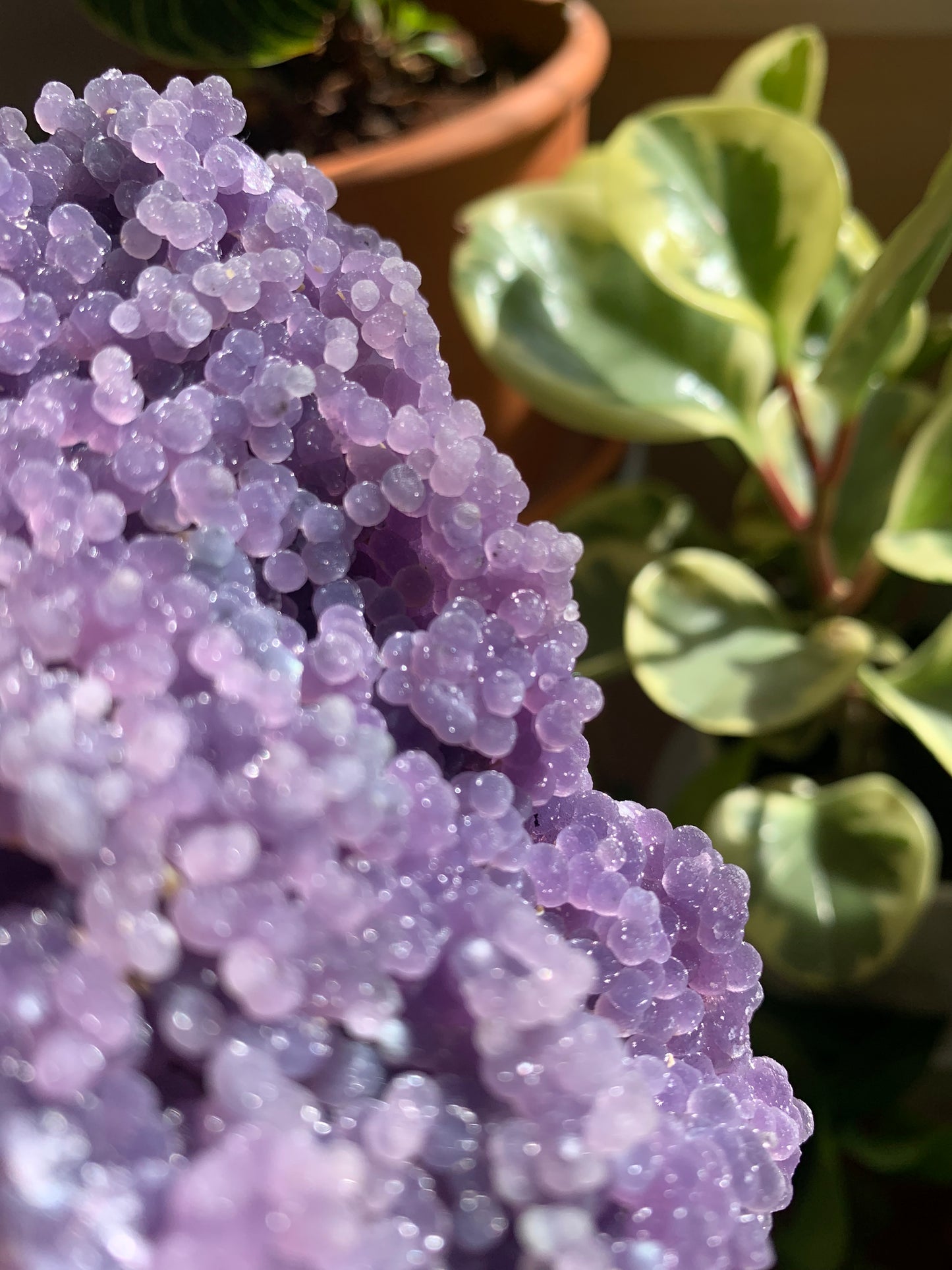 Grape Agate Cluster