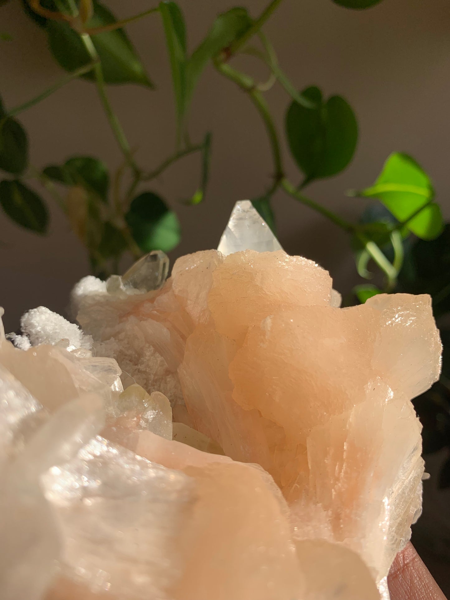 Green Apophyllite with Stilbite on Druzy Chalcedony