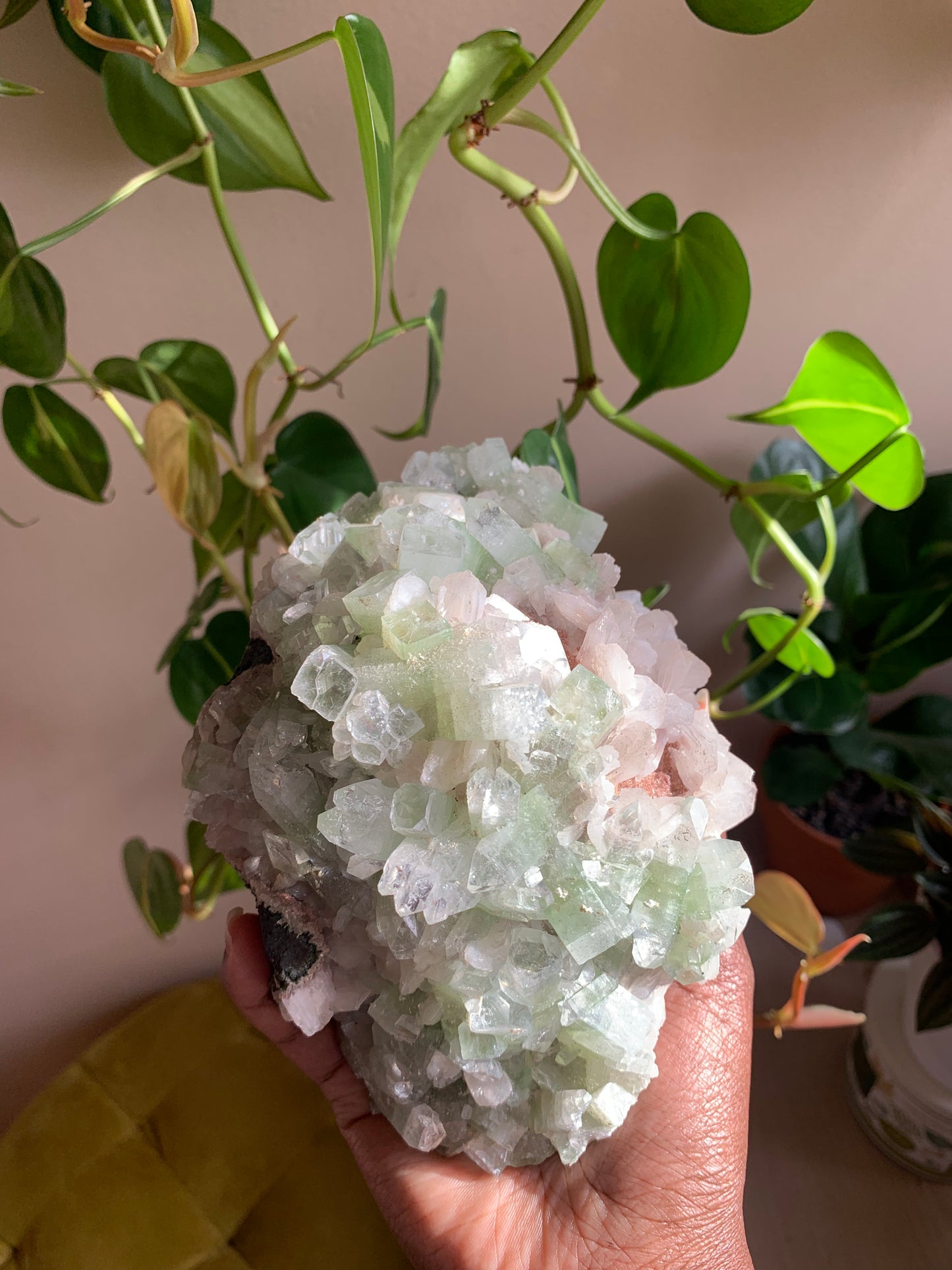 Cubic Green Apophyllite On Red Heulandite