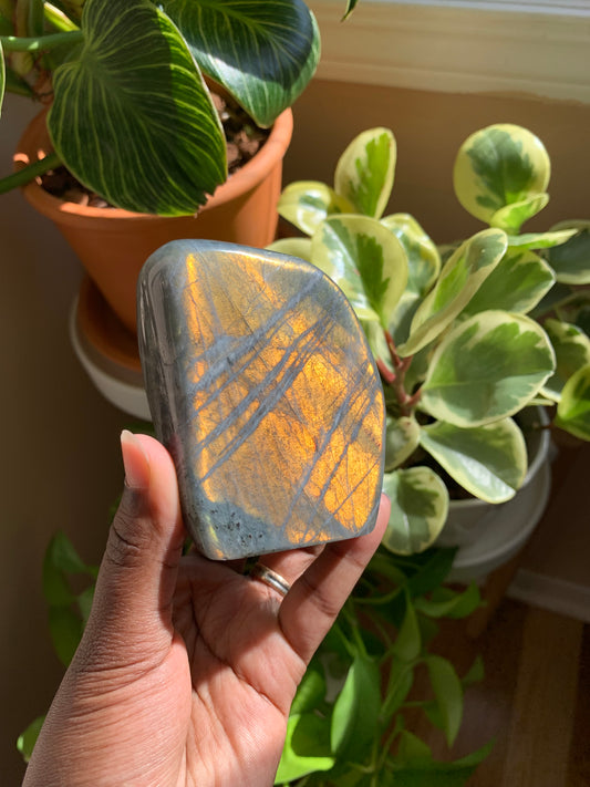 Orange Labradorite Free Form