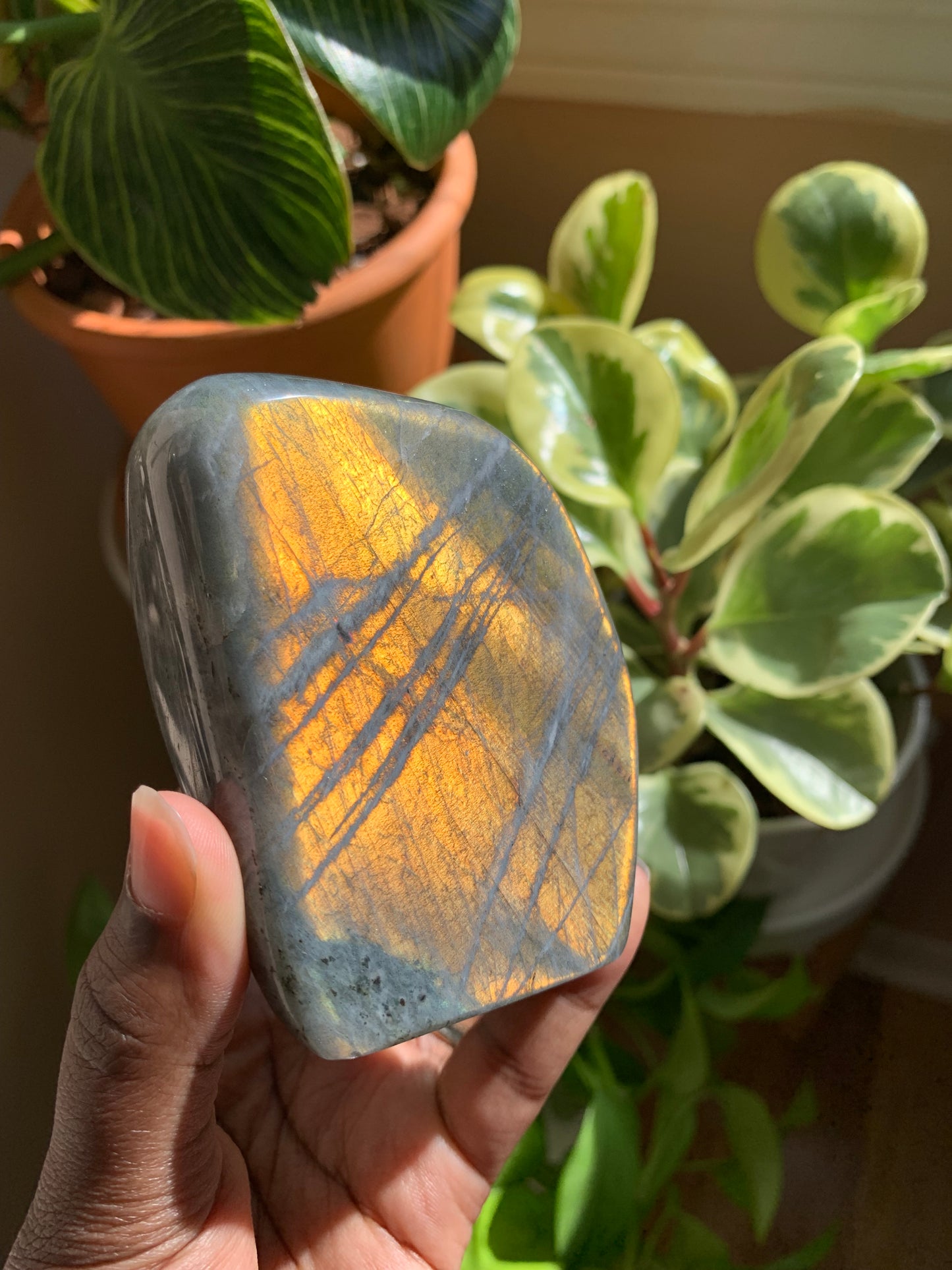 Orange Labradorite Free Form