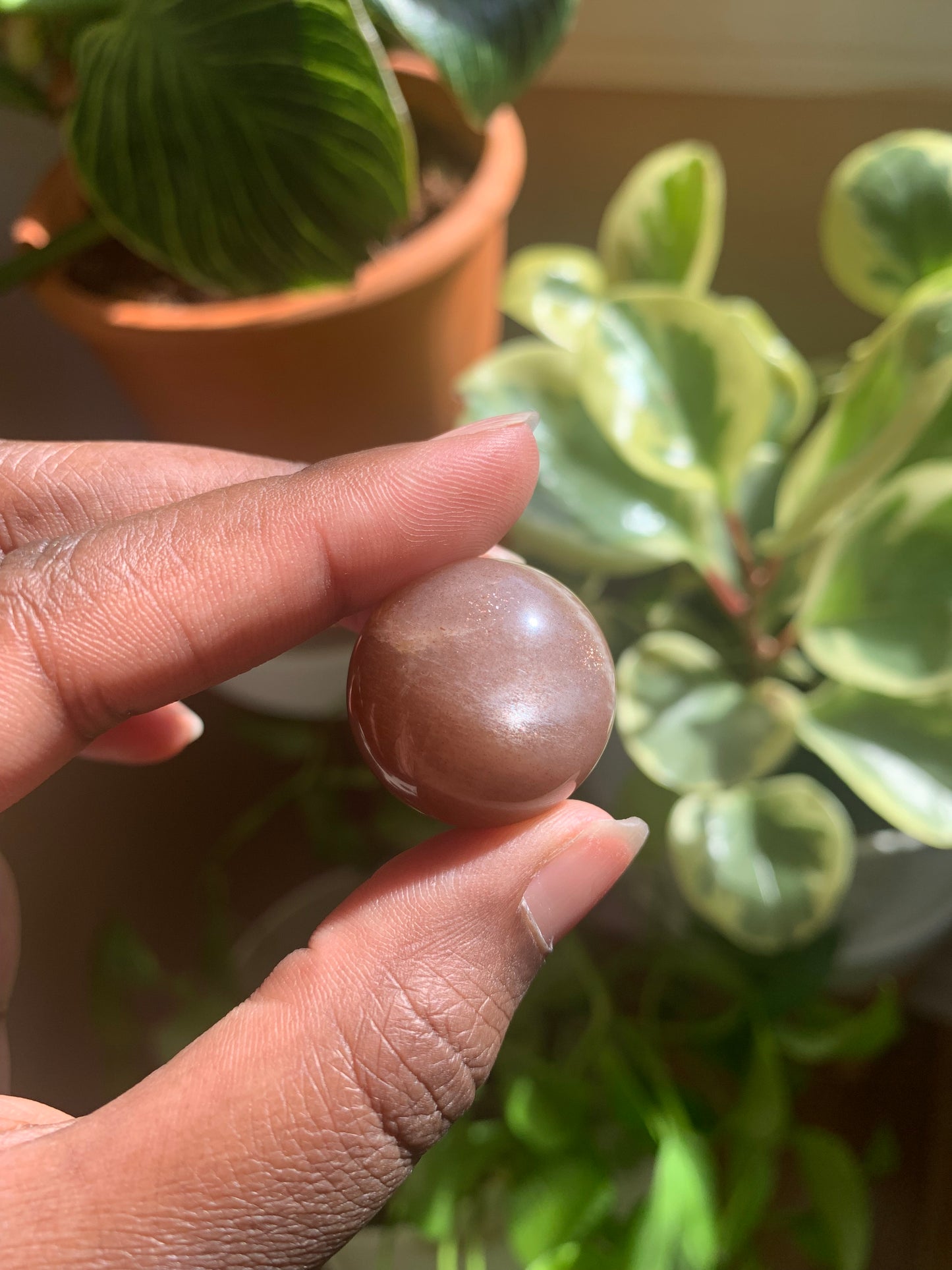 Mini Peach Moonstone Spheres