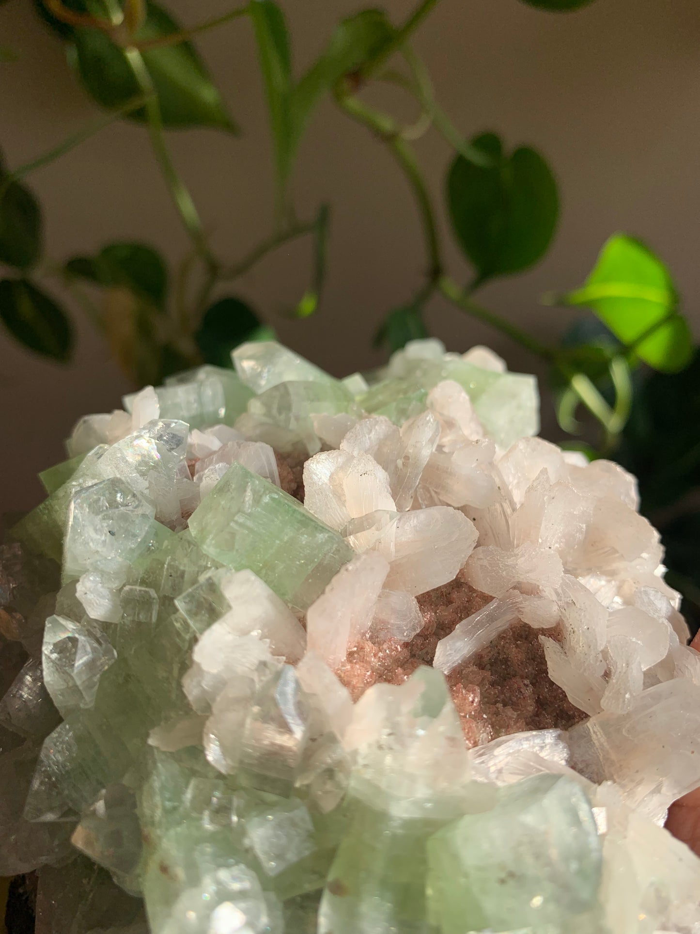 Cubic Green Apophyllite On Red Heulandite