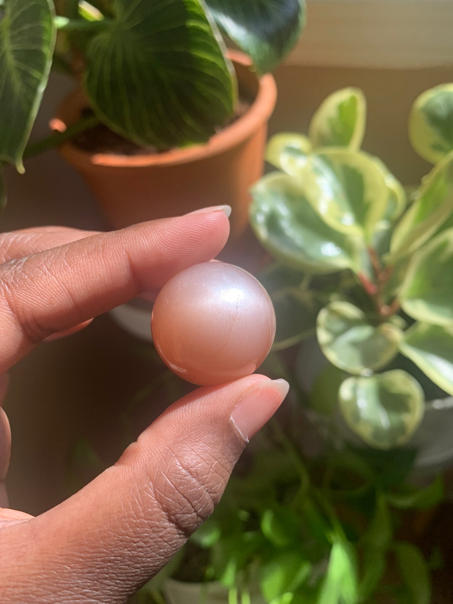 Mini Peach Moonstone Spheres