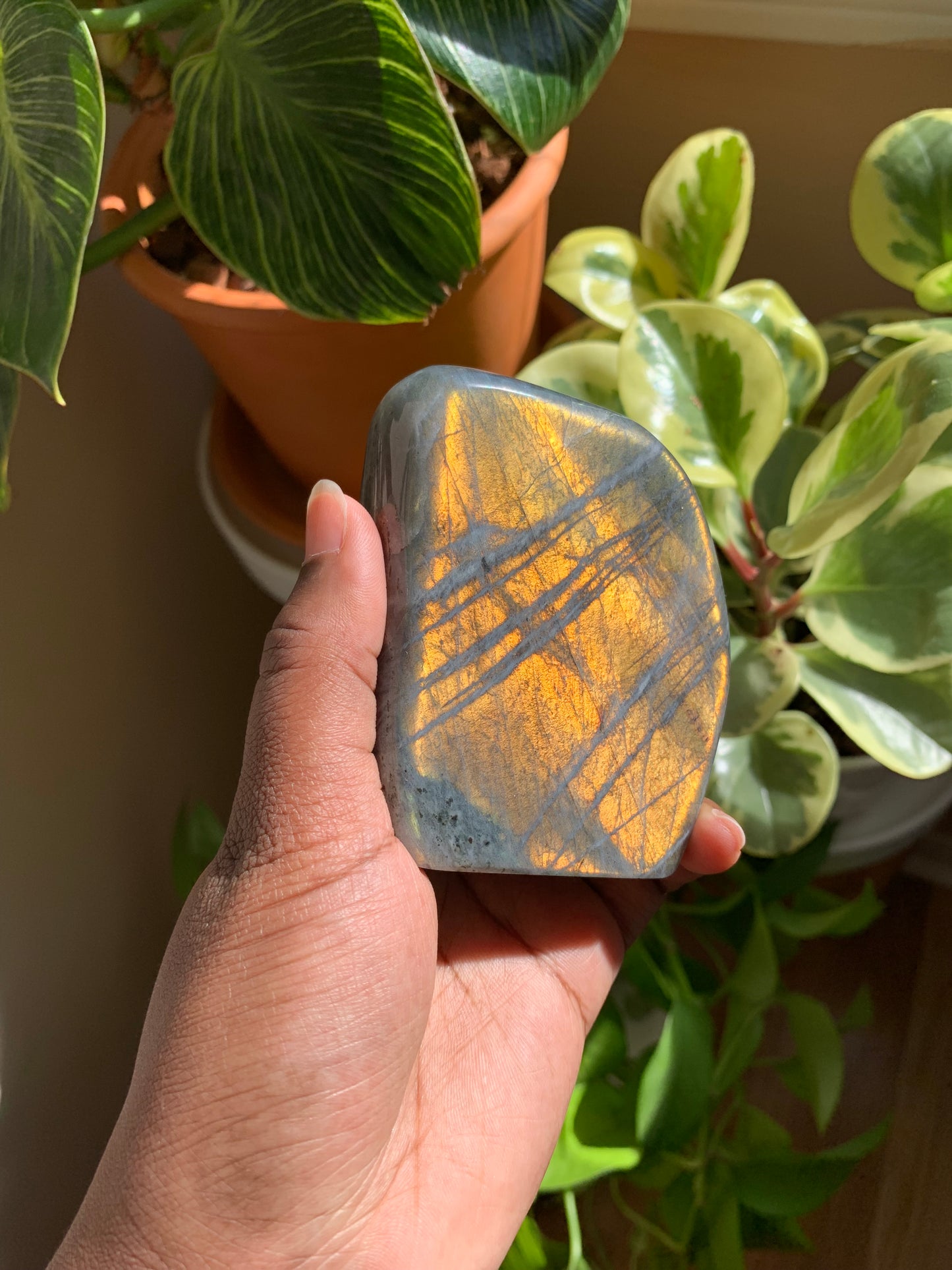 Orange Labradorite Free Form