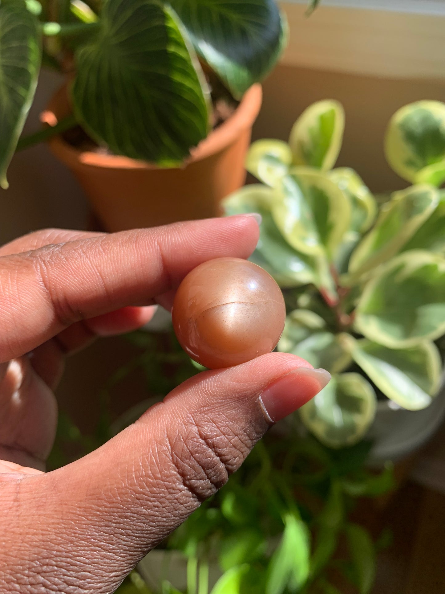 Mini Peach Moonstone Spheres