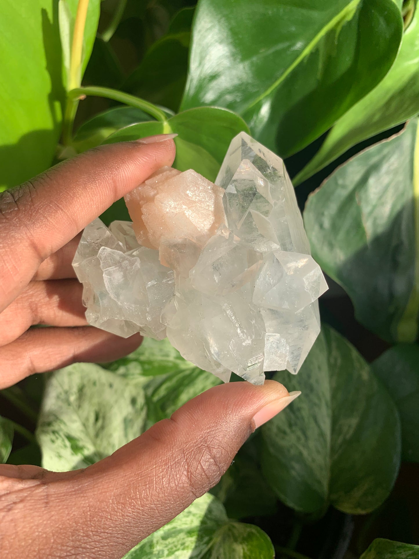 Clear Apophyllite With Stilbite