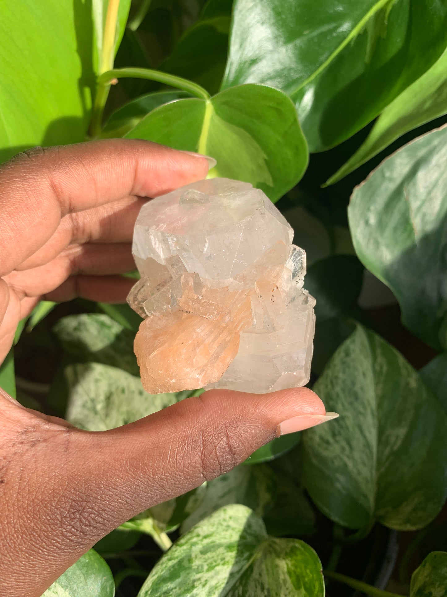 Clear Apophyllite With Stilbite