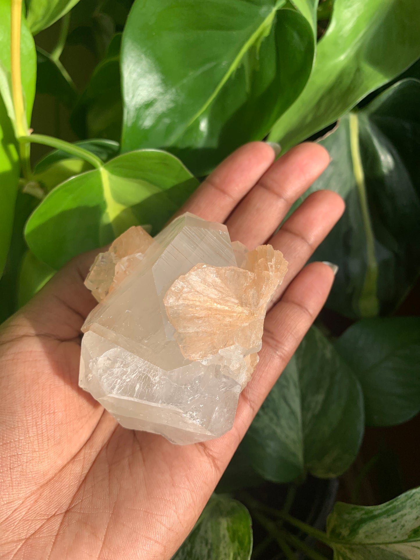 Clear Apophyllite With Stilbite