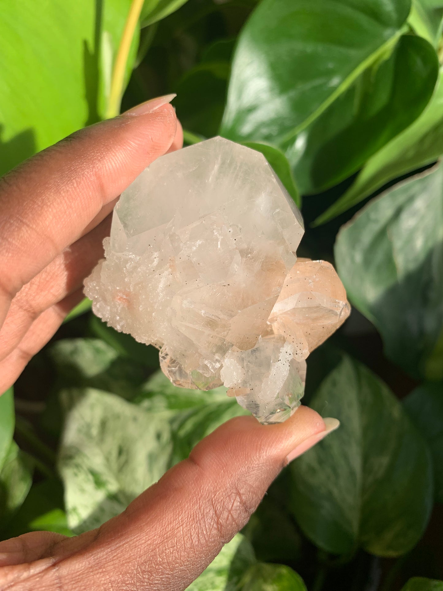 Clear Apophyllite With Stilbite