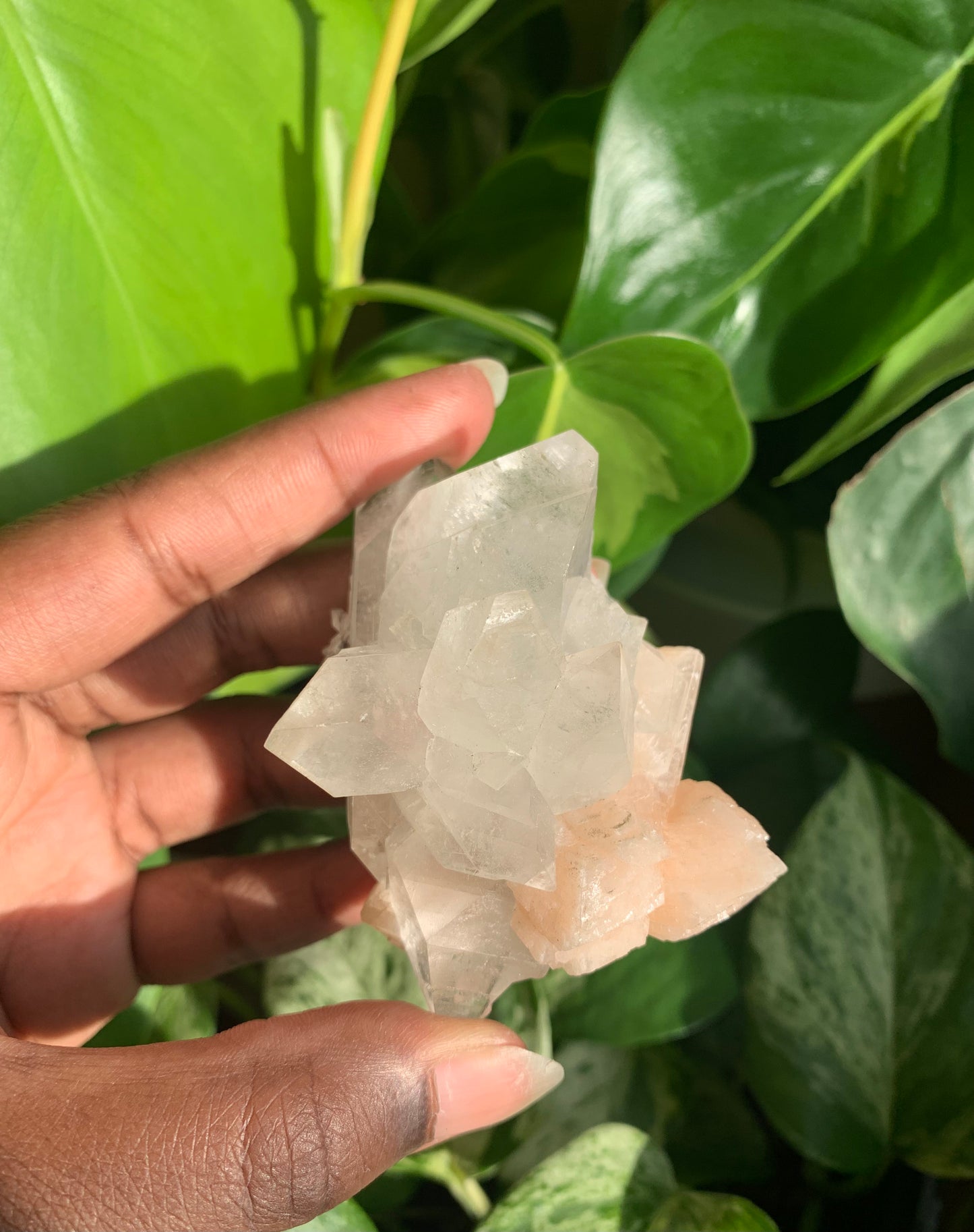 Clear Apophyllite With Stilbite